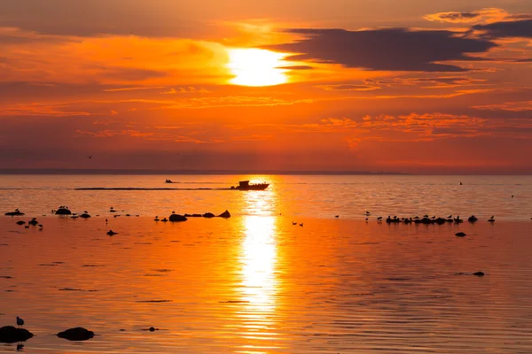 Boot bij zonsondergang — Stockfoto