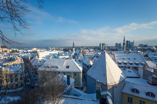 Tallinn på vintern — Stockfoto