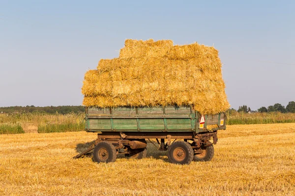 Straw hay bales on a trailer — Stock Photo, Image
