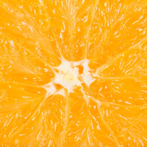 오렌지 과일의 매크로 사진 — 스톡 사진