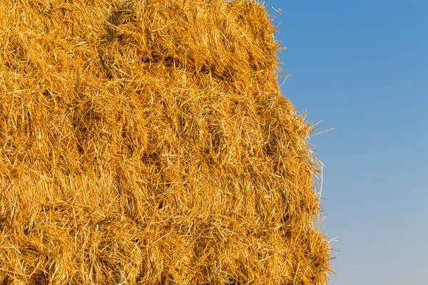 Balle di fieno impilate su un campo contro cielo azzurro — Foto Stock