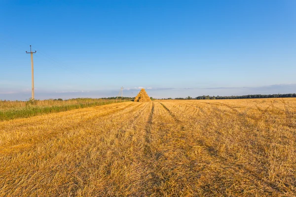 Staplade höbalar på ett fält mot blå himmel — Stockfoto