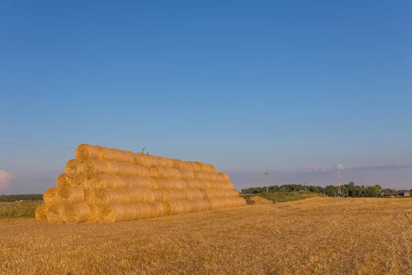 Piled hay bales on a field against blue sky — Stock Photo, Image