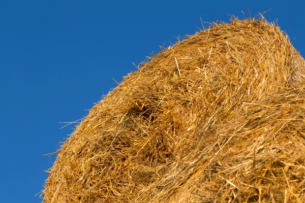 Fardos de heno apilados en un campo contra el cielo azul — Foto de Stock