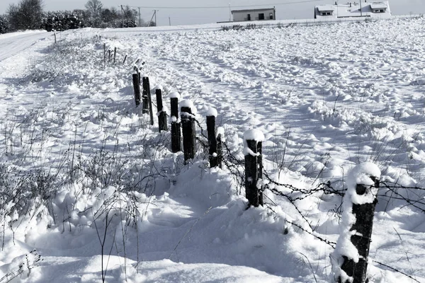 Prikkeldraad Hek Met Sneeuw Zwart Wit Foto — Stockfoto