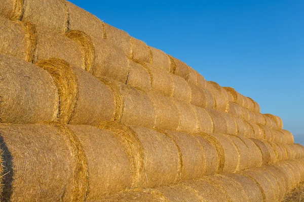 Piled hay bales on a field against blue sky — Stock Photo, Image