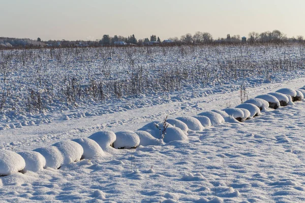 雪の草原 冬の農村フィールド上の石 — ストック写真