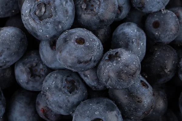 Arándanos Frescos Con Gotas Agua Primer Plano — Foto de Stock