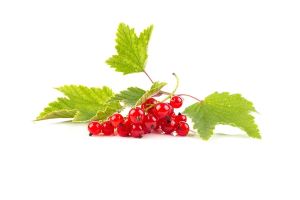 Bacche Ribes Rosso Isolate Uno Sfondo Bianco — Foto Stock