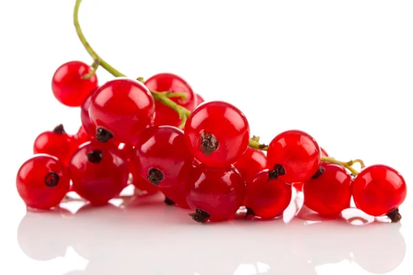 白い背景に隔離された赤いスグリの果実 — ストック写真