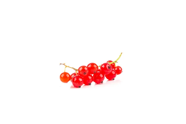 红色的醋栗浆果在白色的背景上被分离出来 — 图库照片