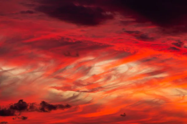 Red Sunset Sky Very Dramatic North Evening — Stock Photo, Image