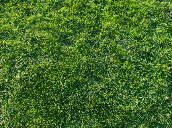 Prachtige groene gras van het voetbalveld. — Stockfoto