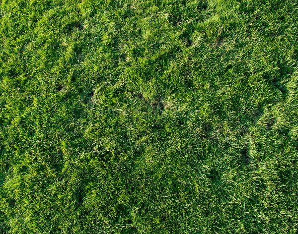 Prachtige groene gras van het voetbalveld. — Stockfoto