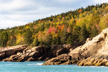 Sonbaharda ağaçların renk değiştirdiği Acadia Ulusal Parkı