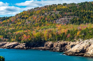 Sonbaharda ağaçların renk değiştirdiği Acadia Ulusal Parkı