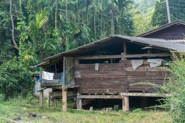 Huai Hillside Köyü, Myanmar Sınırı yakınlarındaki Kuzey Tayland kırsalında.