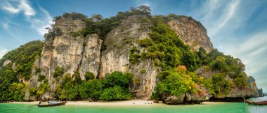 Ko Phi Phi's Limestone Cliffs with very colorful leaves