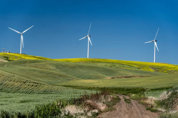 Вітрогенераторна Ферма Сільськогосподарському Регіоні Східного Штату Вашингтон Сша Стокова Картинка
