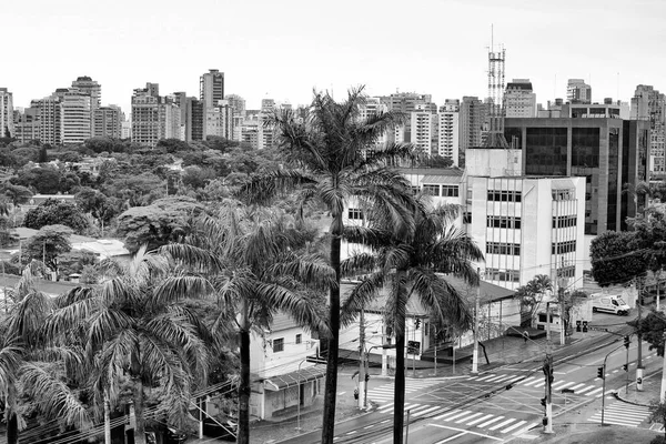 브라질 상파울루 2021 상파울루의 브리가 루이스 안토니오 거리의 — 스톡 사진