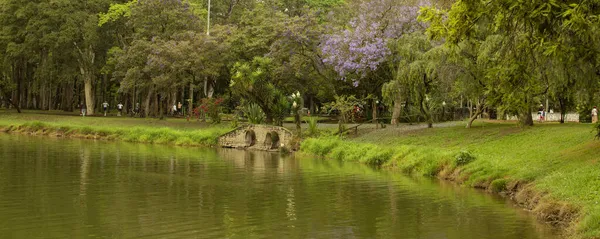 Ibirapuera Park Sao Paulo Brazilië Het Groene Landschap Van Het — Stockfoto