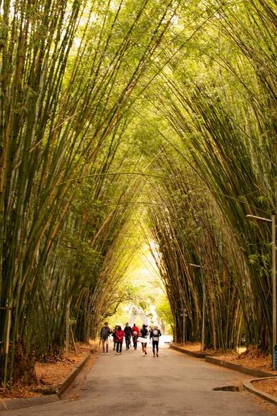 Sao Paulo Brésil Octobre 2021 Ibirapuera Park Les Gens Qui — Photo