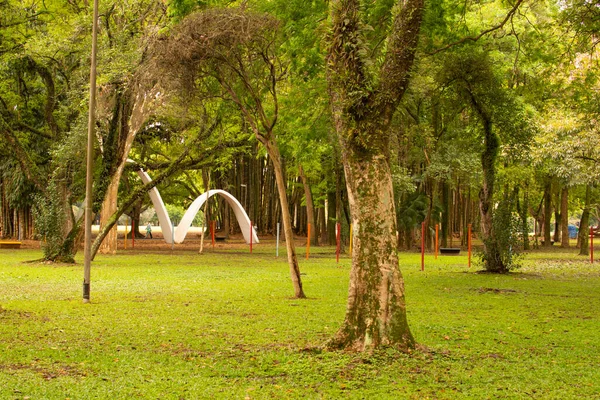 Ibirapuera Parkı Sao Paulo Brezilya Parkın Yeşil Manzarası — Stok fotoğraf