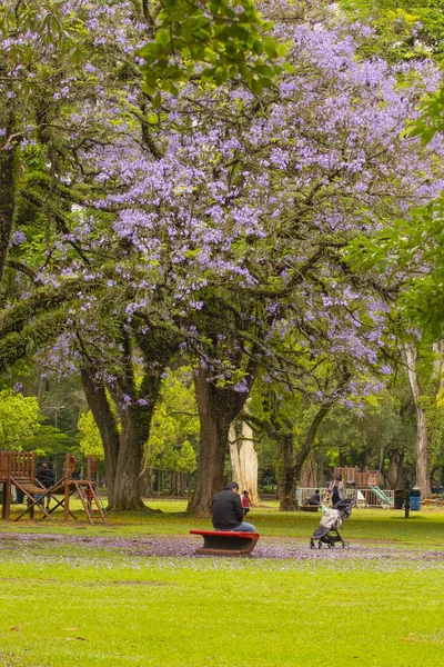 Sao Paulo Brezilya Ekim 2021 Ibirapuera Parkı Nsanlar Spor Yapıyor — Stok fotoğraf