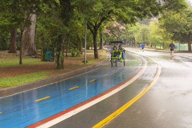 Sao Paulo, Brezilya - 10 Ekim 2021 Ibirapuera Parkı. İnsanlar spor yapıyor ve yeşil arazide yürüyorlar.