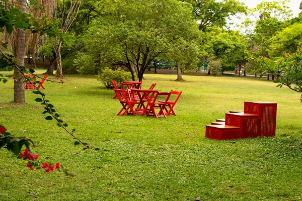 Ibirapuera Park Sao Paulo Brazilië Het Groene Landschap Van Het — Stockfoto