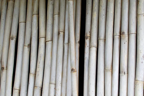 Бамбуковый Забор Бамбуковая Стена Текстурный Фон — стоковое фото