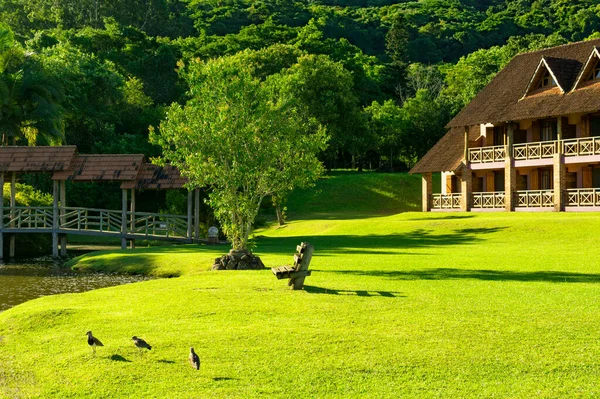 브라질의 Hacienda Holiday Rio Grande Sul Brazil — 스톡 사진