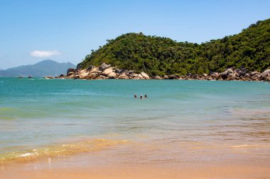 Tainha 'nın güzel tropik plajı, Santa Catarina, Brezilya