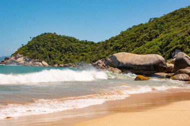 Tainha 'nın güzel tropik plajı, Santa Catarina, Brezilya