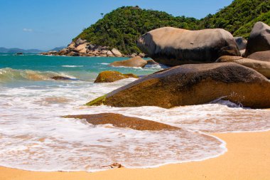 Tainha 'nın güzel tropik plajı, Santa Catarina, Brezilya