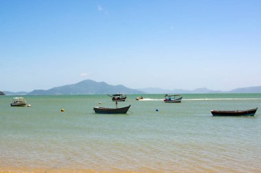 Bombinhas 'ın güzel tropikal plajı, Santa Catarina, Brezilya