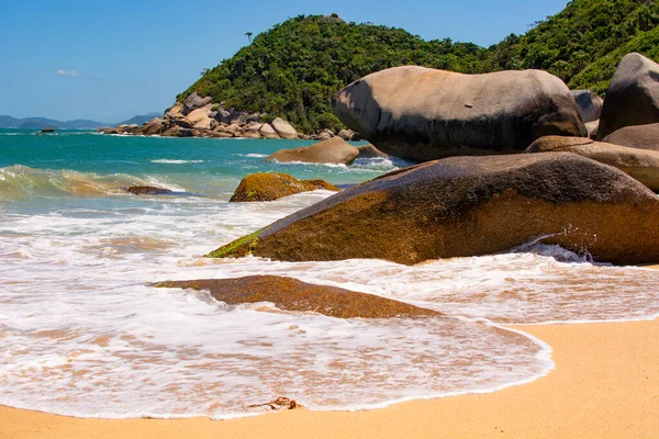 Tainha 'nın güzel tropik plajı, Santa Catarina, Brezilya