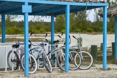 strand kruiser fietsen