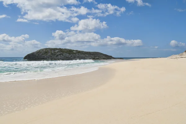 Côte de l'île Cat — Photo