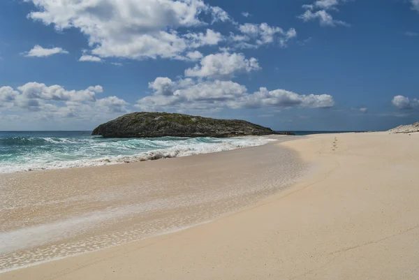 Litoral de ilha do gato — Fotografia de Stock