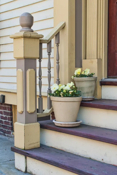 Passos de porta com vasos de flores — Fotografia de Stock