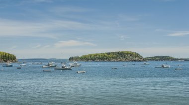 bar harbor, maine, balıkçı tekneleri