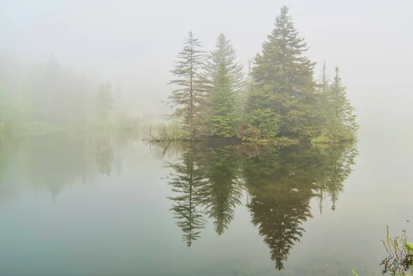 Niebla en el lago Spruce en Vermont — Foto de Stock