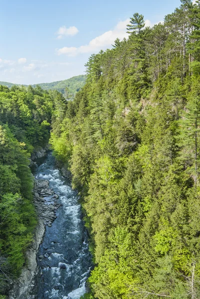 Quechee River & Gorge — Stock Photo, Image