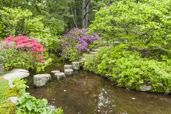 Degrau pedras para cruzar uma corrente de jardim — Fotografia de Stock