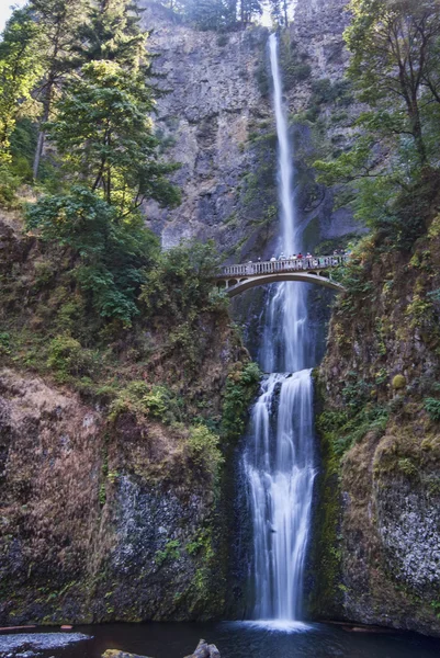 Multnomah falls i columbia river gorge oregon — Stockfoto