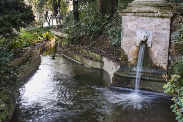 Arroyo en los Jardines de Bardini —  Fotos de Stock