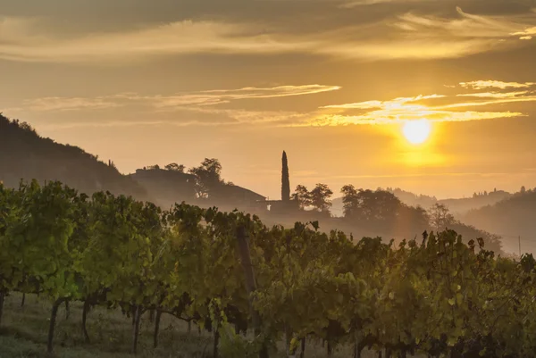 Soluppgång i Toscana — Stockfoto