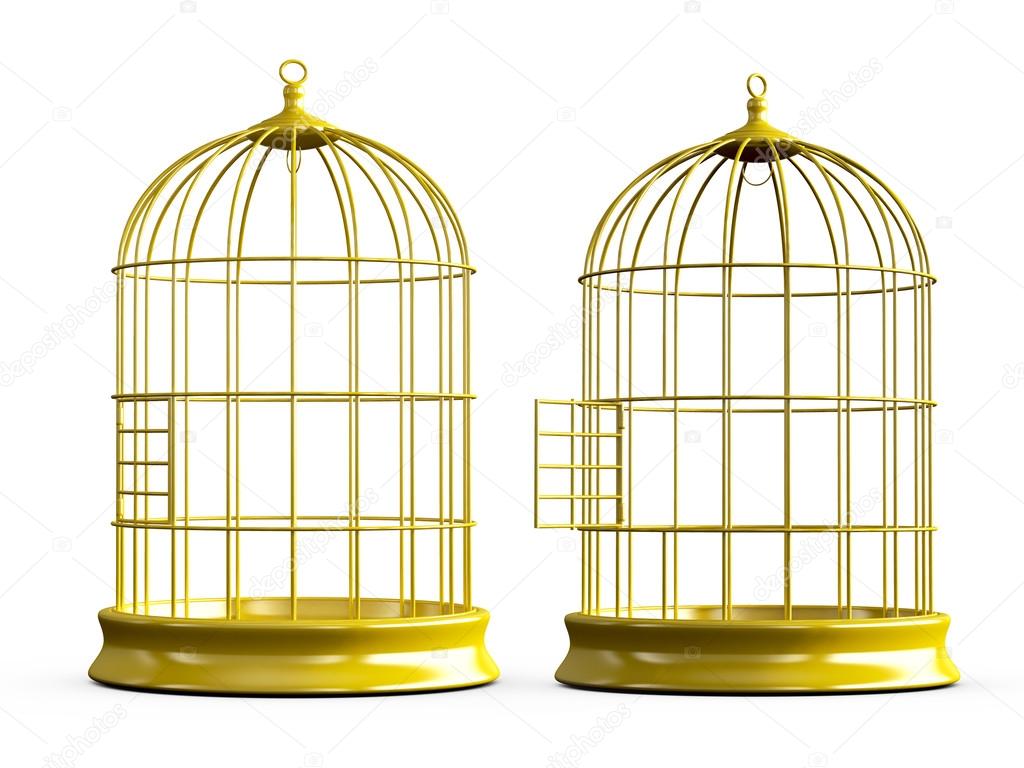 Bird Cage