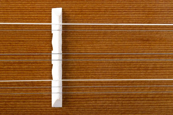 Drewniany instrument muzyczny z ciągów — Zdjęcie stockowe